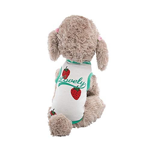 Ropa para Perros, Mascotas, Camiseta, Chaleco...