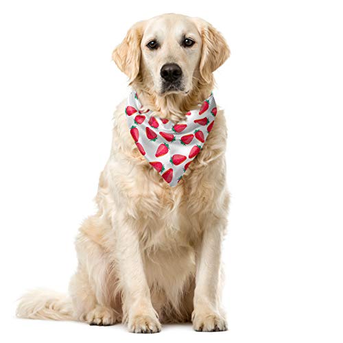 ABAKUHAUS Fresa Bandana para Mascotas, 55x55 cm,...