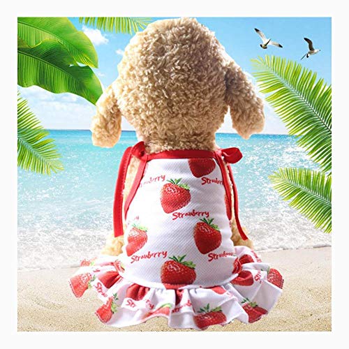 PSTBWYL Ropa para Mascotas, Vestido de Verano con...