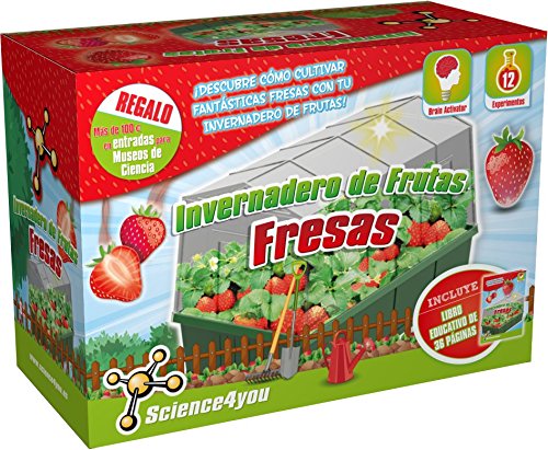 Science4you-Invernadero de Frutas-Fresas Juguete...